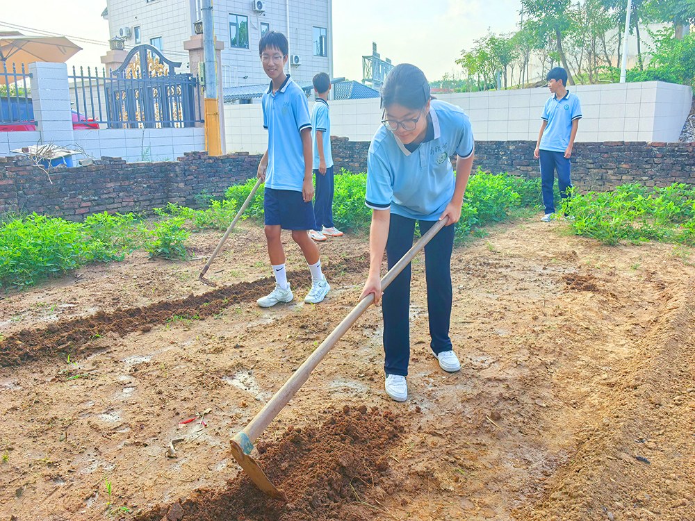 安阳比较好的叛逆厌学教育中心具体位置在哪